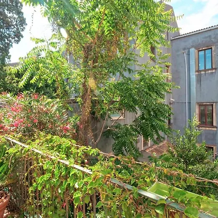 Piccadilly House Bed & Breakfast *